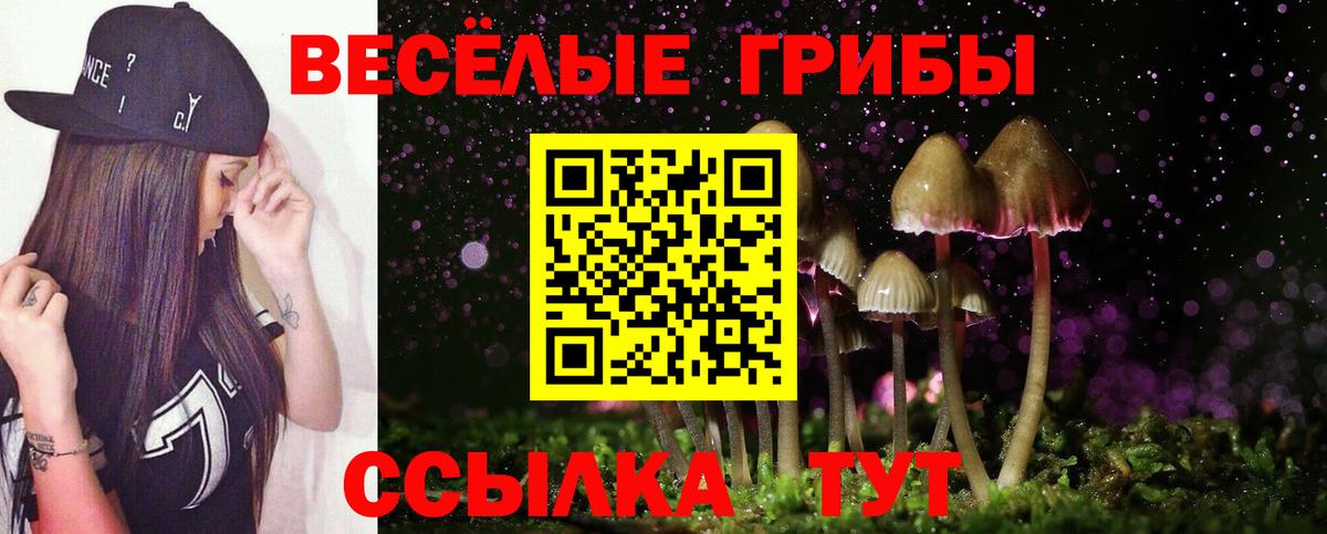 Москва  Галлюциногенные грибы Psilocybine cubensis  Псилоцибиновые грибы мицелий  Вход с VPN 